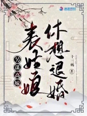 另谋高嫁后续